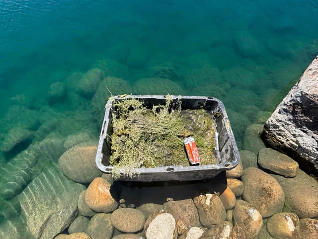 Garden pond with equipment