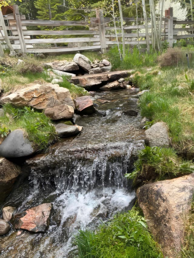 Garden pond ecosystem