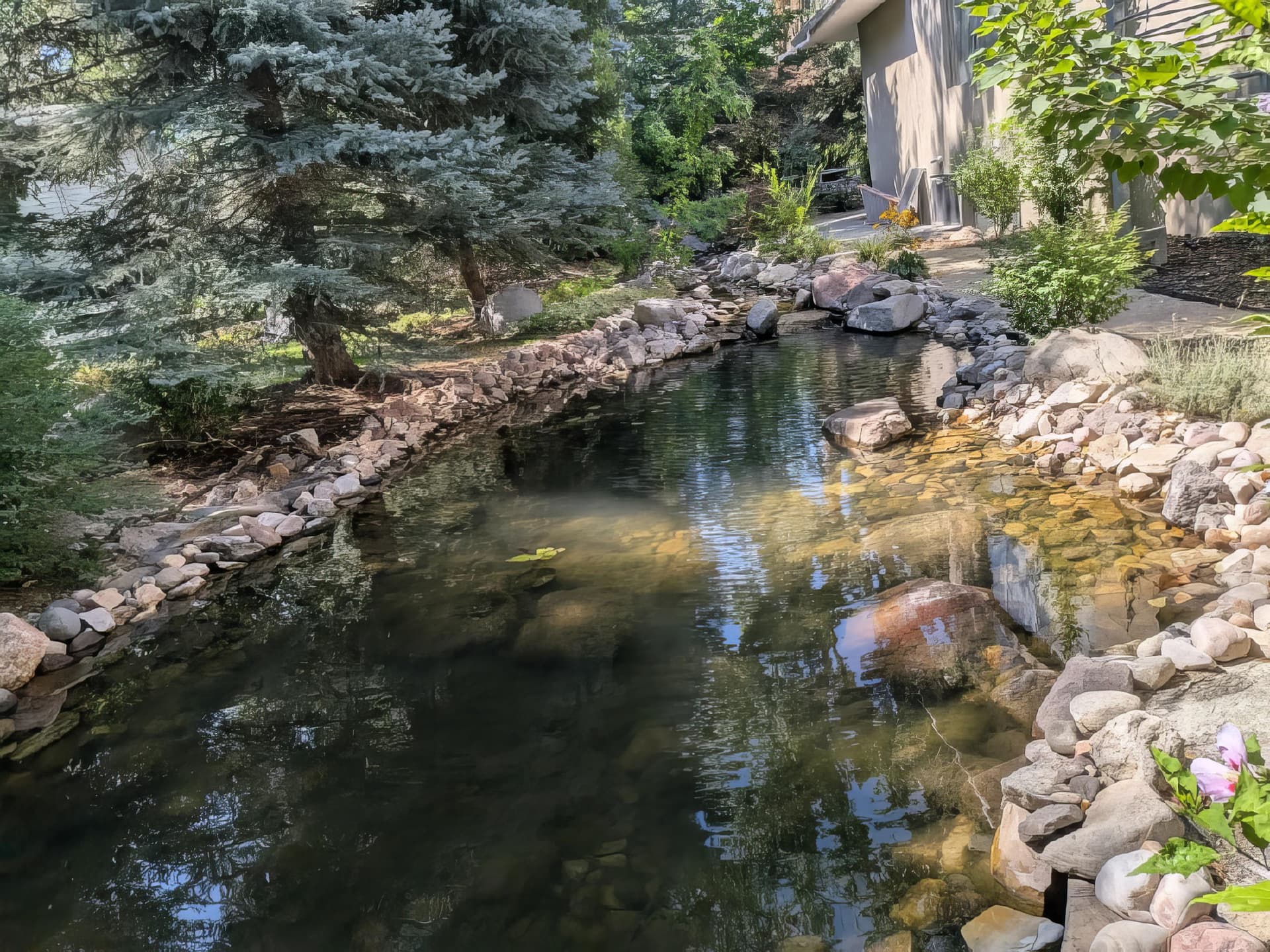 Koi pond with rocks