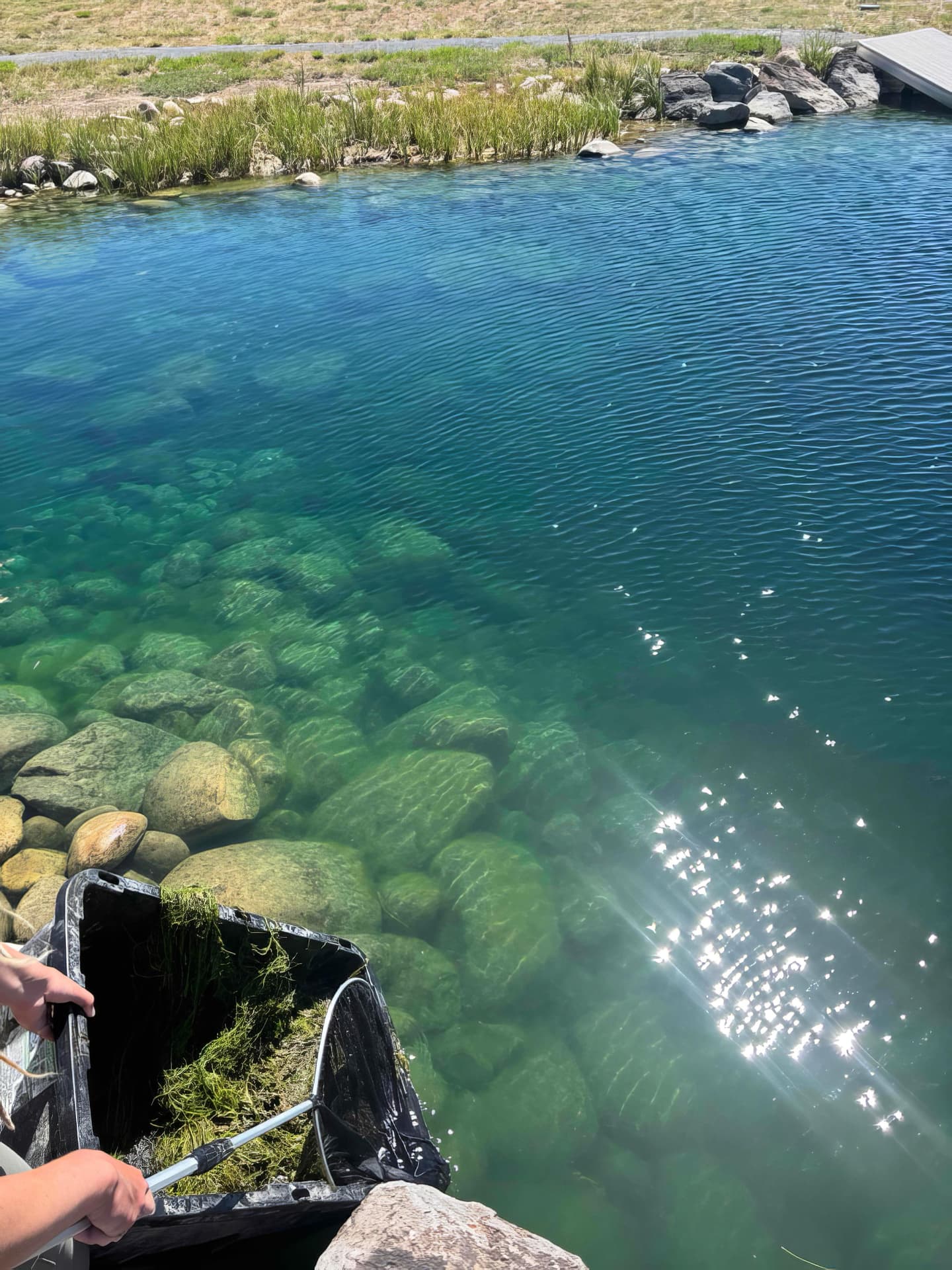 Schedule appointment