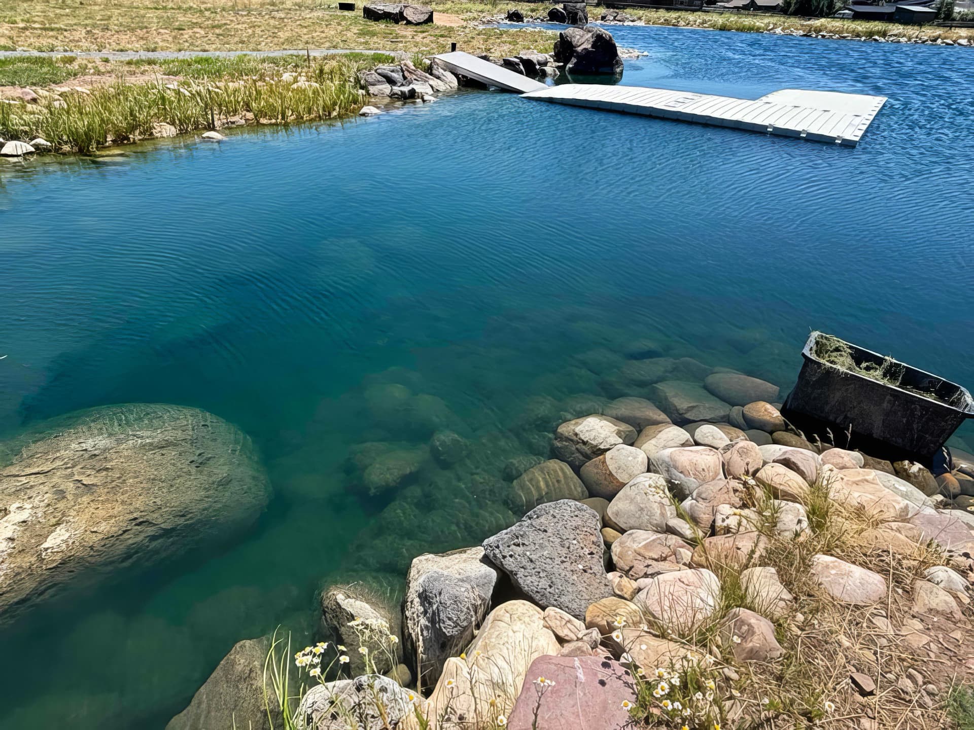 After: pristine water garden