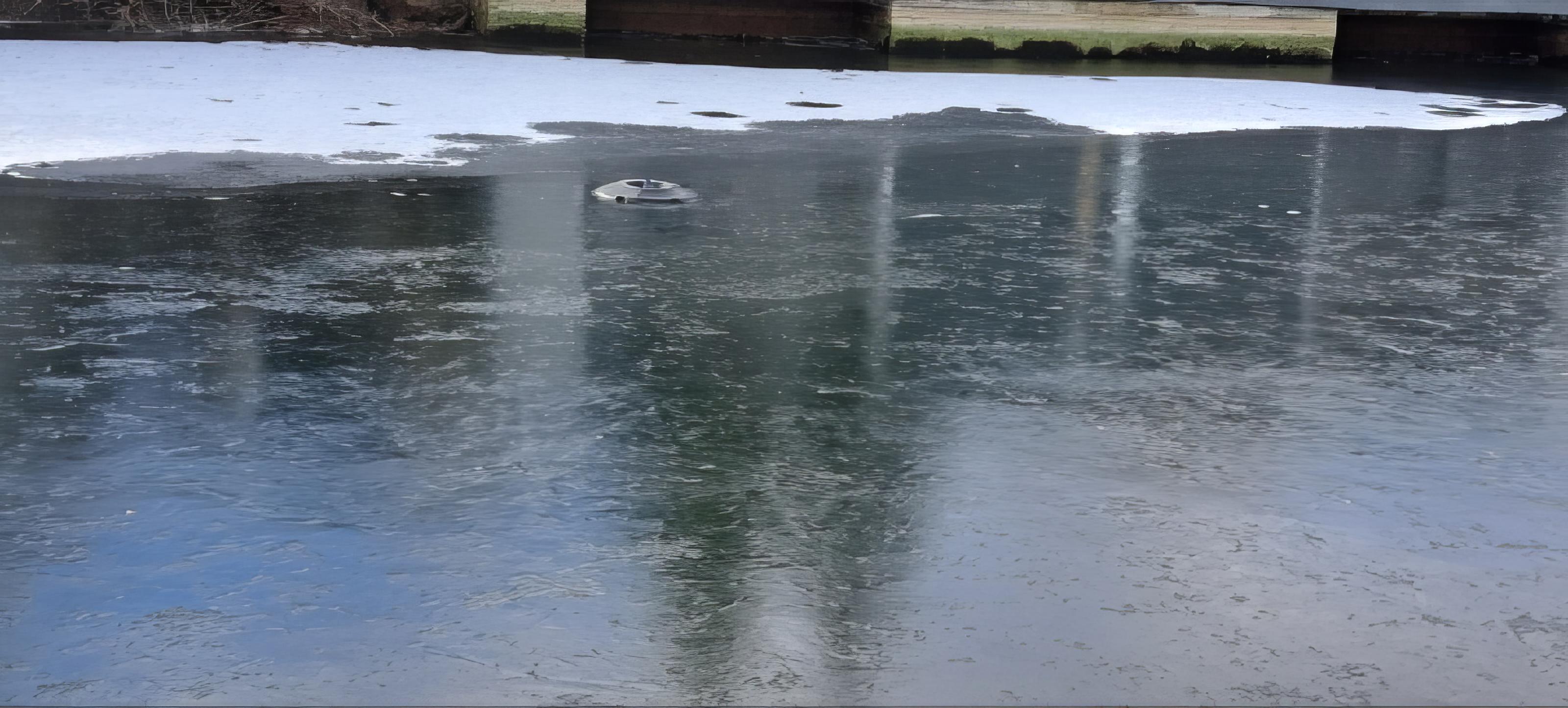 Algae control treatment results