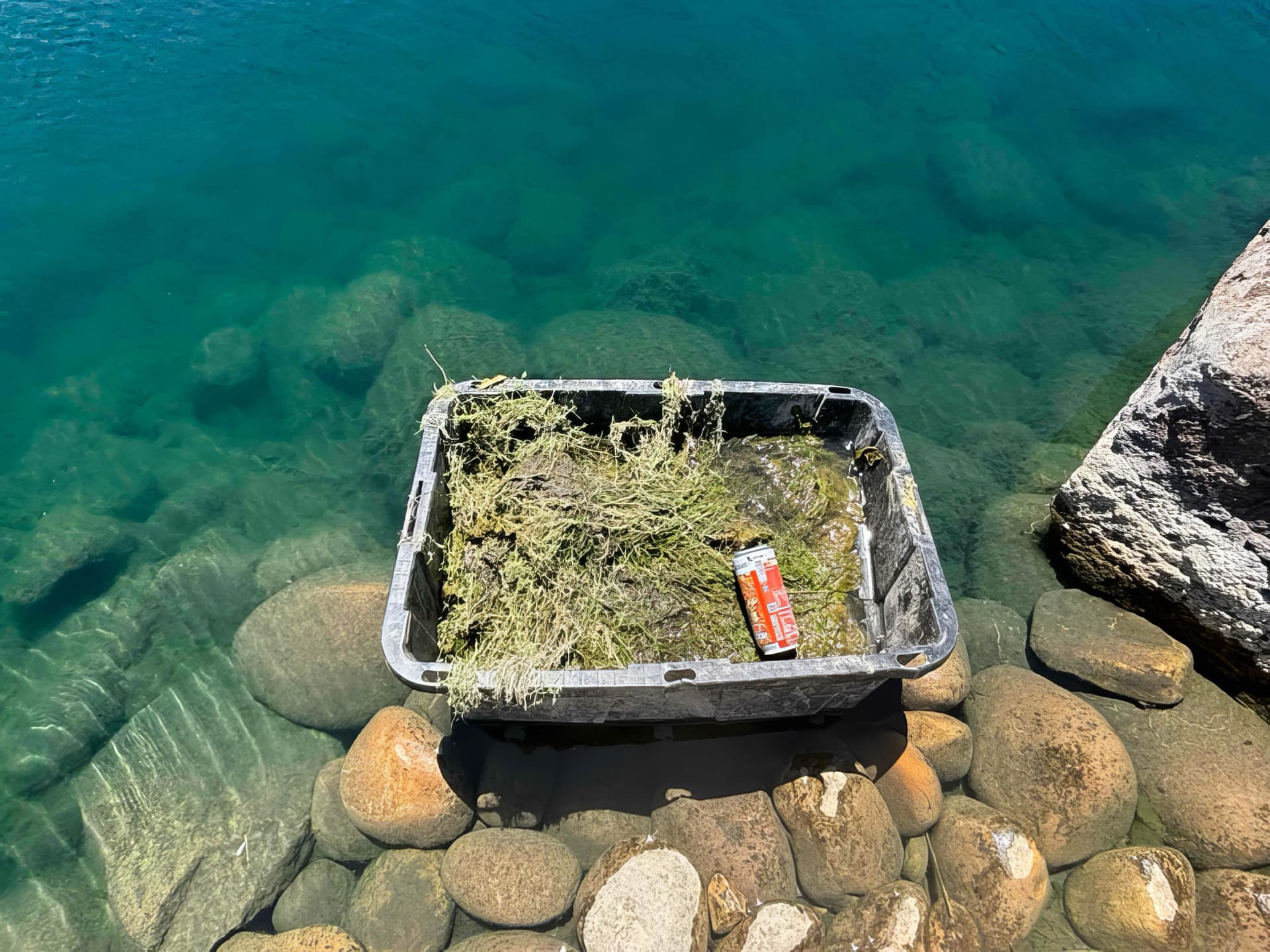 Garden pond with equipment