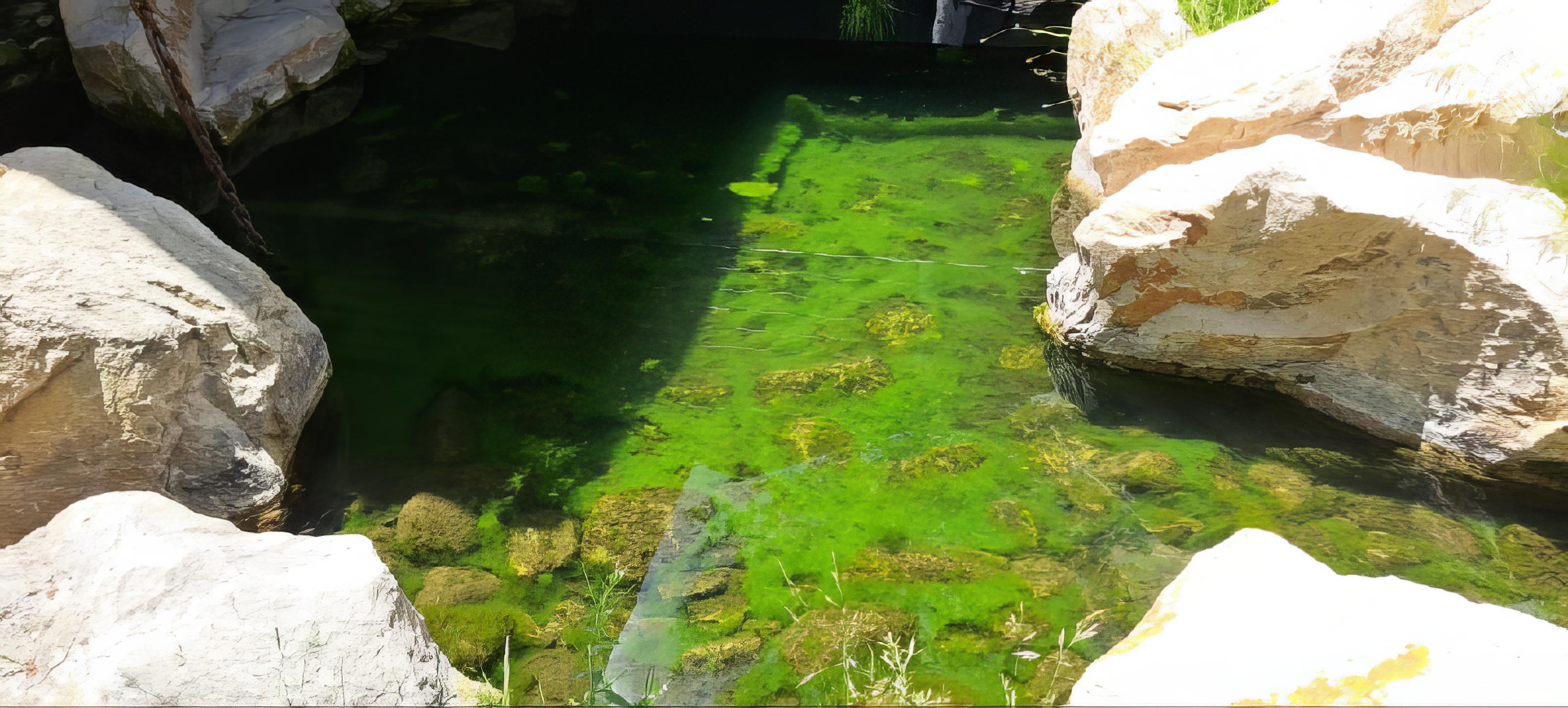 Pond with natural stone