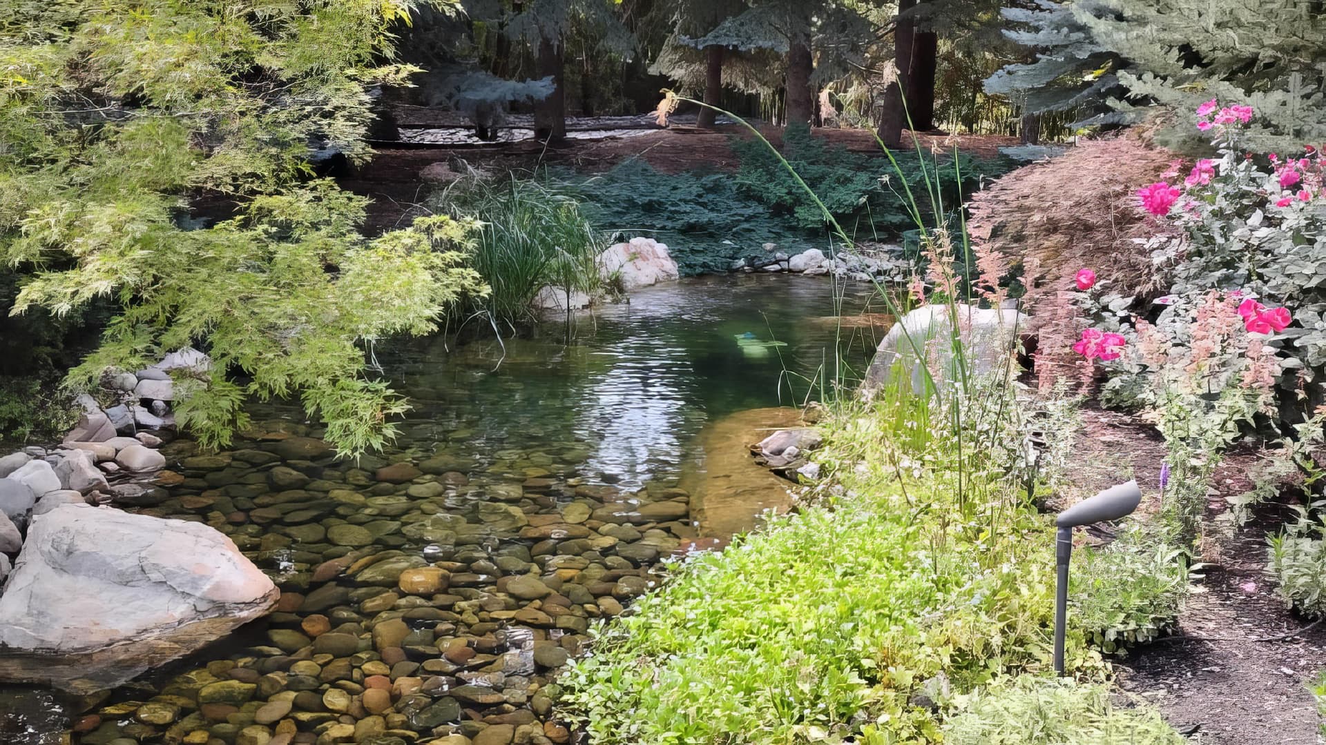 Water garden with fountain
