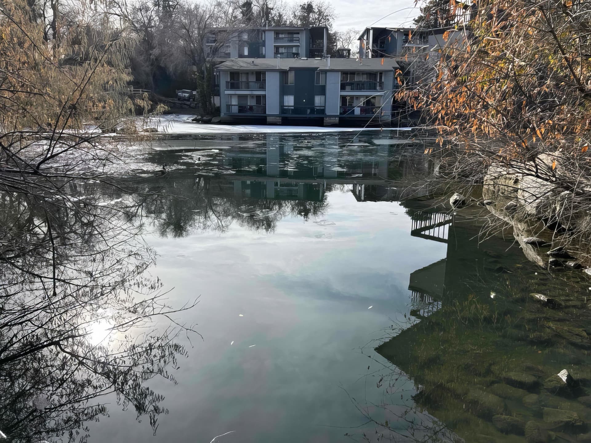 Koi pond with clear water